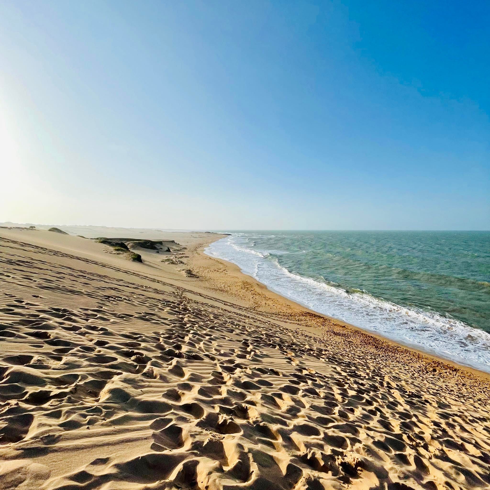 278708034_683612769564748_3705543546530904242_n