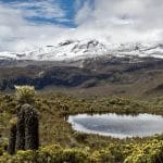 Tour al Volcán Nevado del Ruiz y Murillo, Tolima - 17-al-18-enero